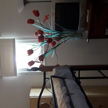 Palmita Hotel Hostel Oranjestad Bagian luar foto