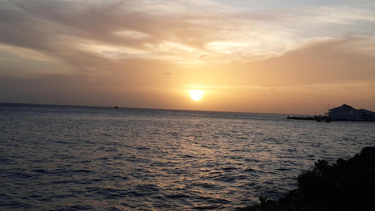 Palmita Hotel Hostel Oranjestad Bagian luar foto