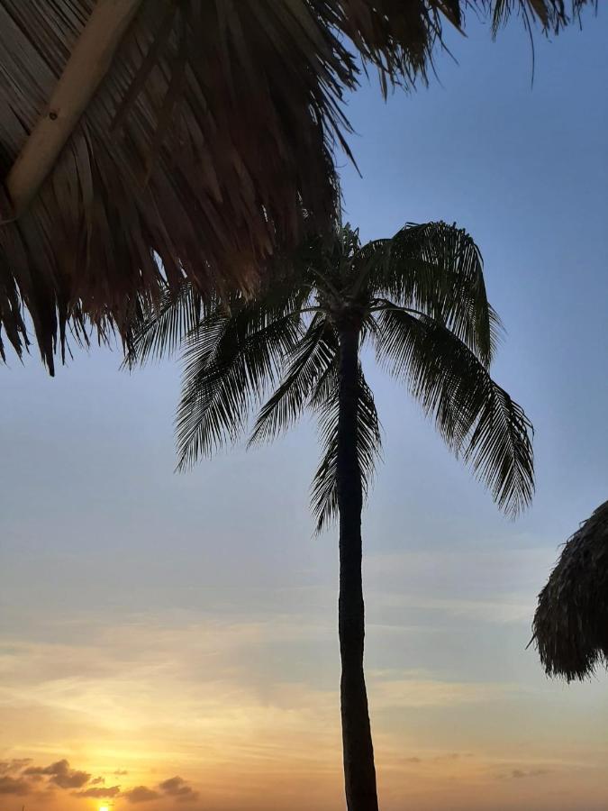 Palmita Hotel Hostel Oranjestad Bagian luar foto