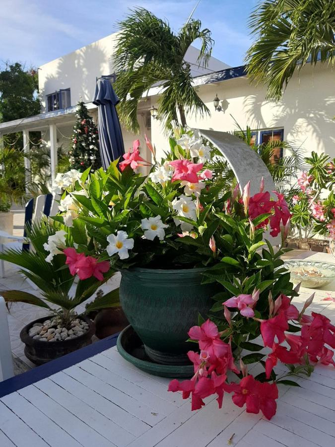 Palmita Hotel Hostel Oranjestad Bagian luar foto