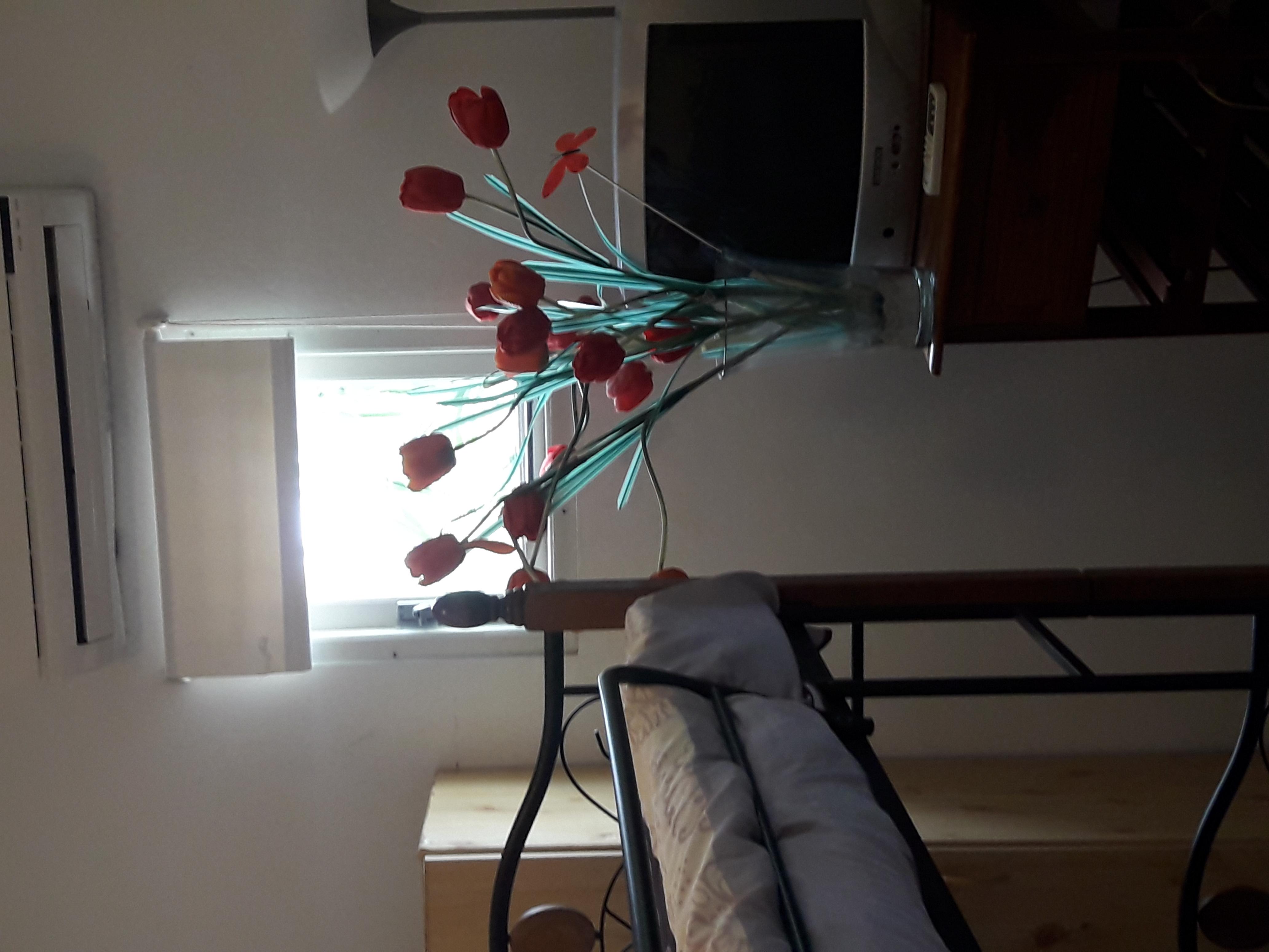 Palmita Hotel Hostel Oranjestad Bagian luar foto