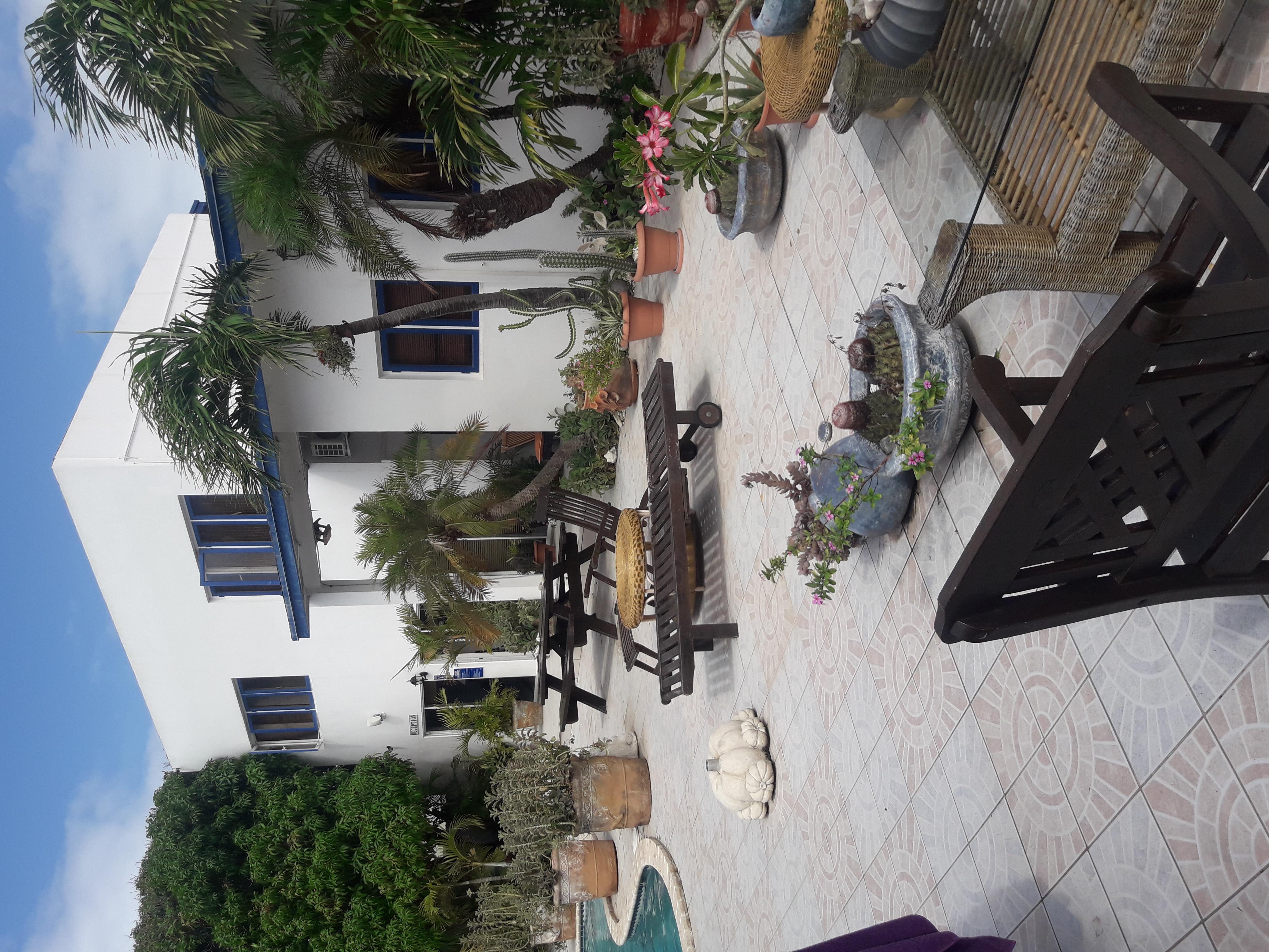 Palmita Hotel Hostel Oranjestad Bagian luar foto