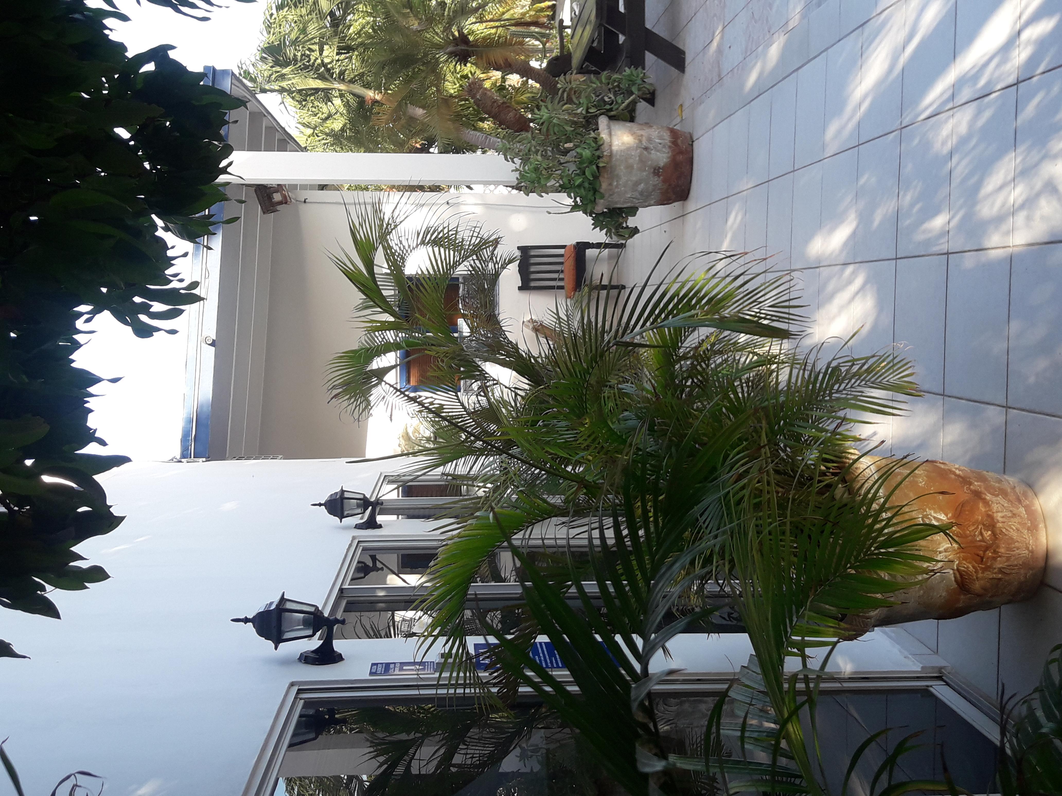 Palmita Hotel Hostel Oranjestad Bagian luar foto