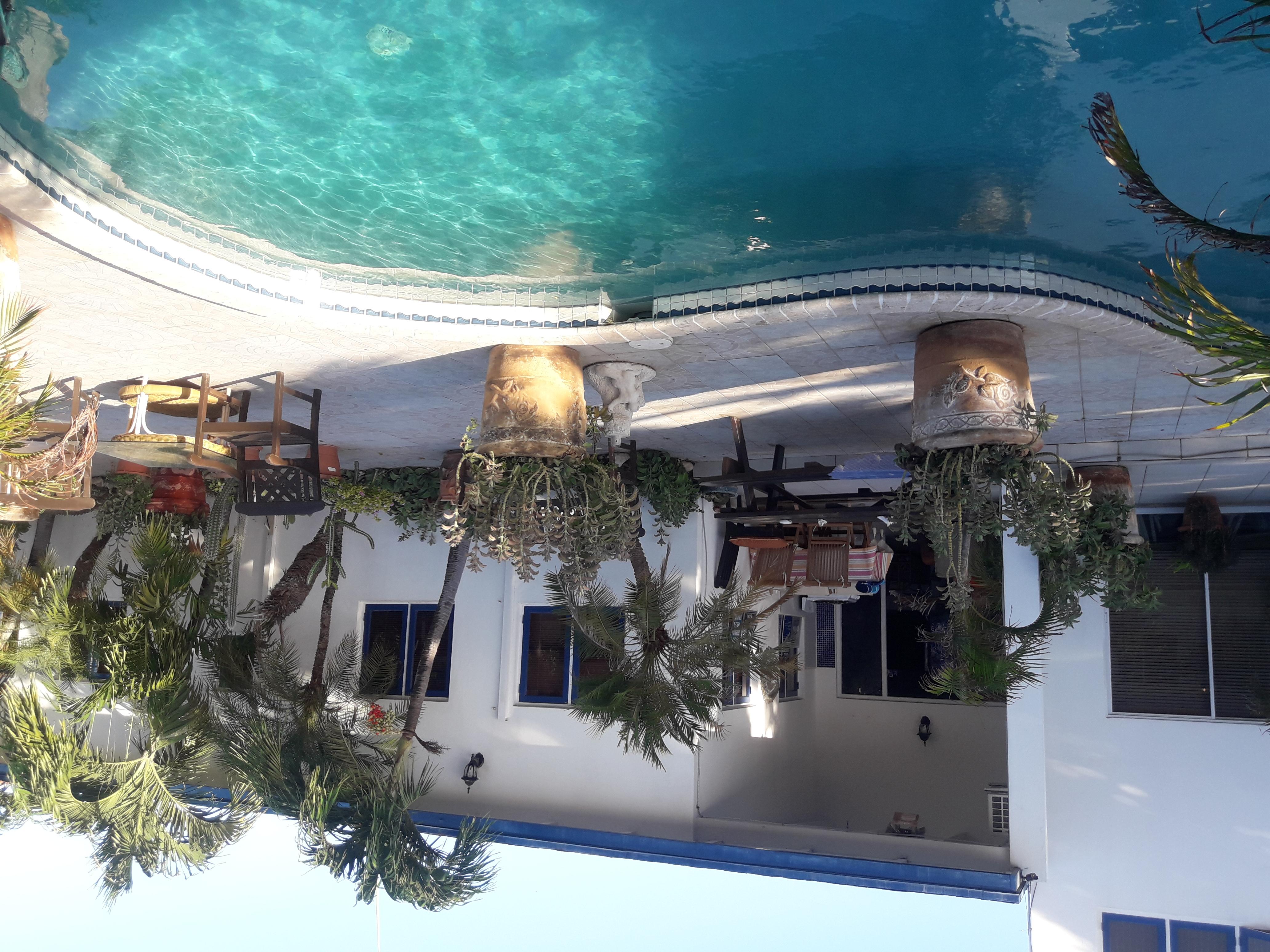 Palmita Hotel Hostel Oranjestad Bagian luar foto