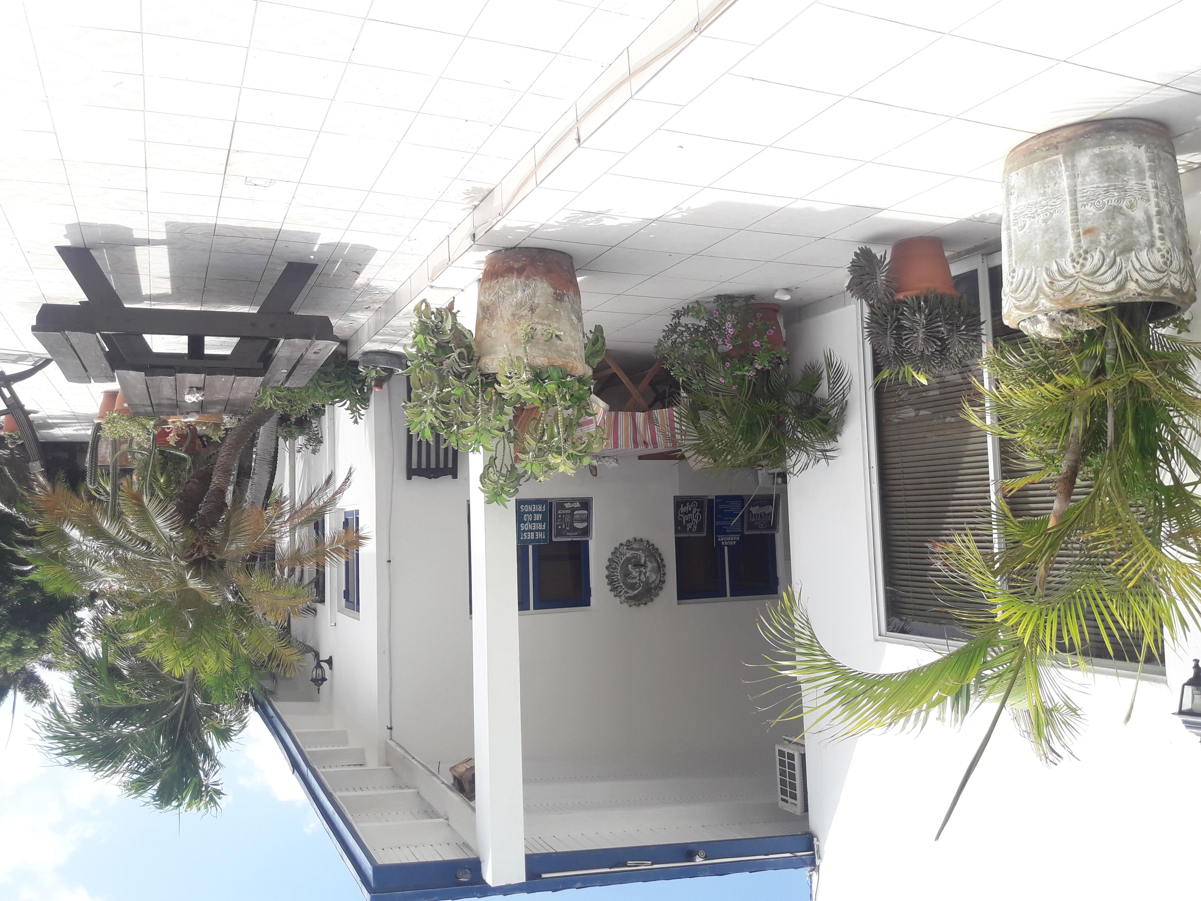 Palmita Hotel Hostel Oranjestad Bagian luar foto