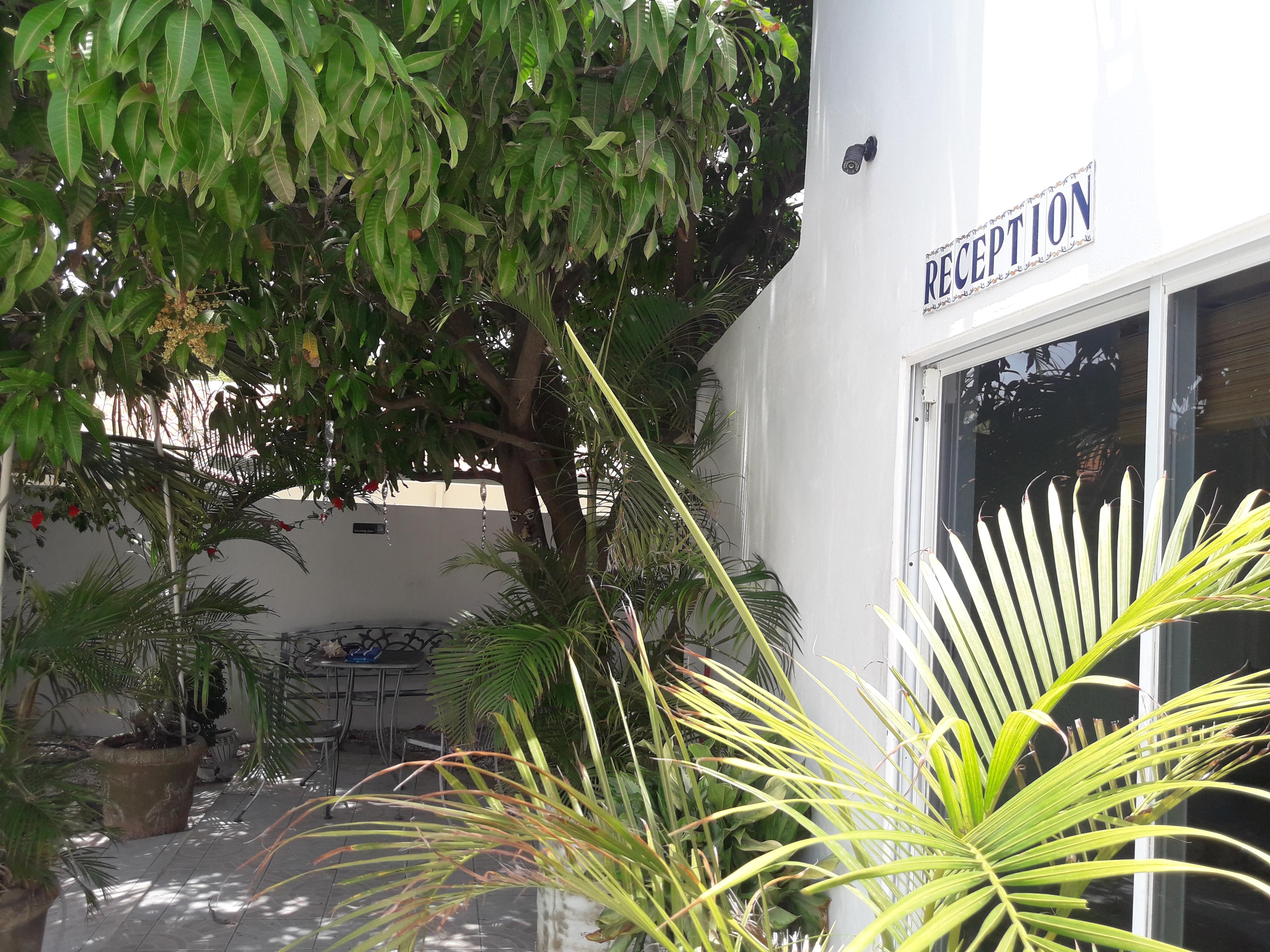 Palmita Hotel Hostel Oranjestad Bagian luar foto