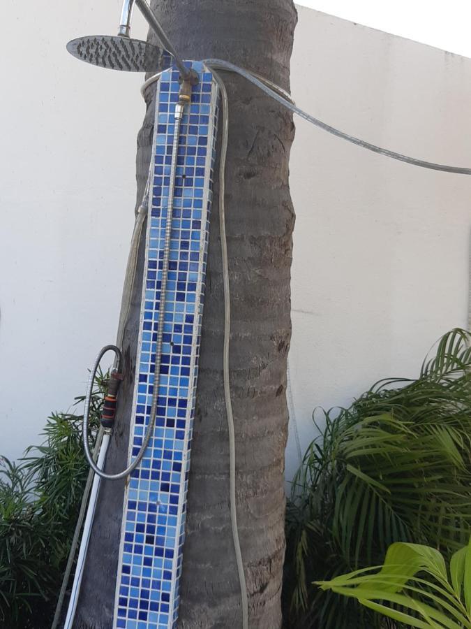 Palmita Hotel Hostel Oranjestad Bagian luar foto